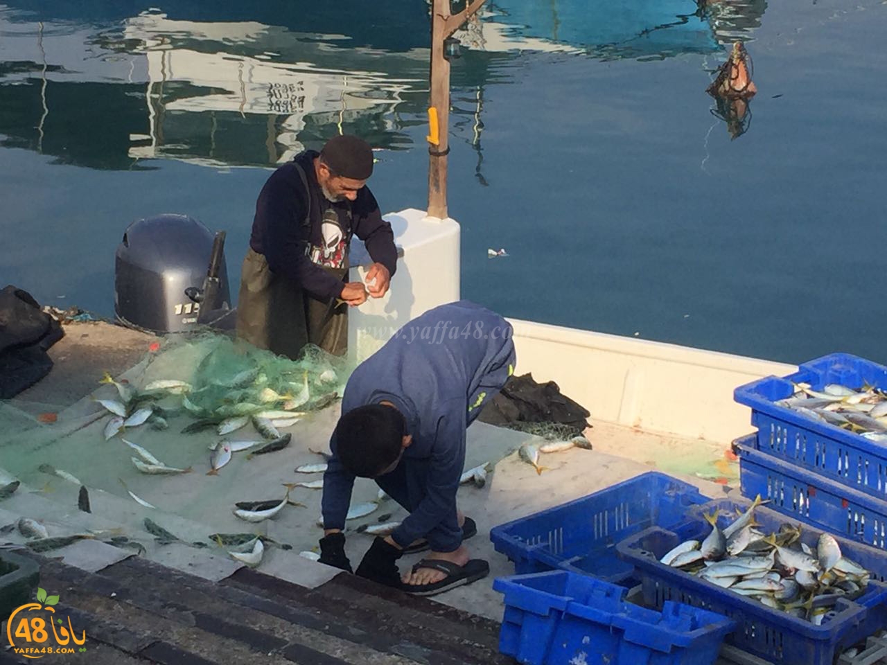 asmak torglos (3).jpg